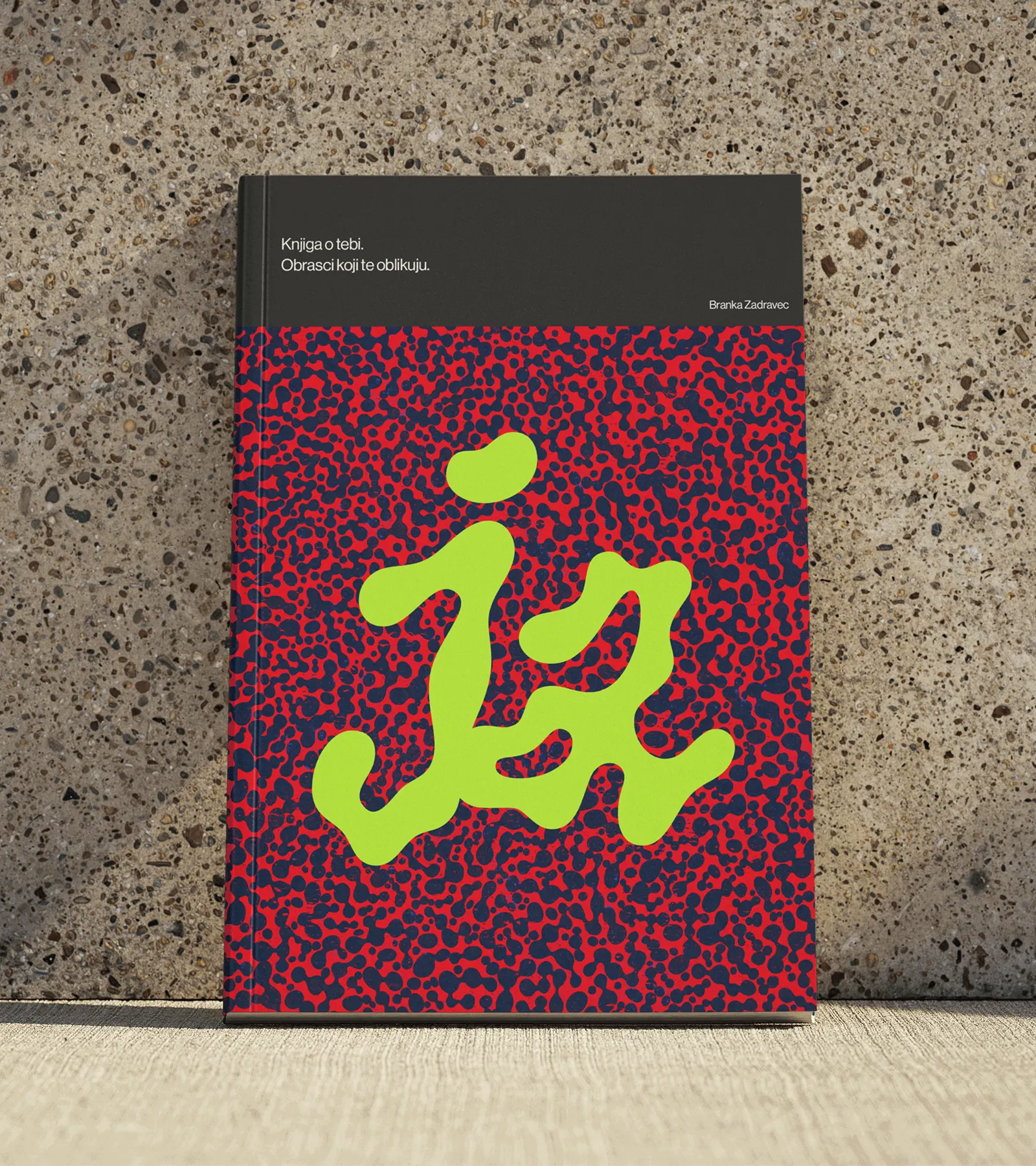 Knjiga Mockup 1